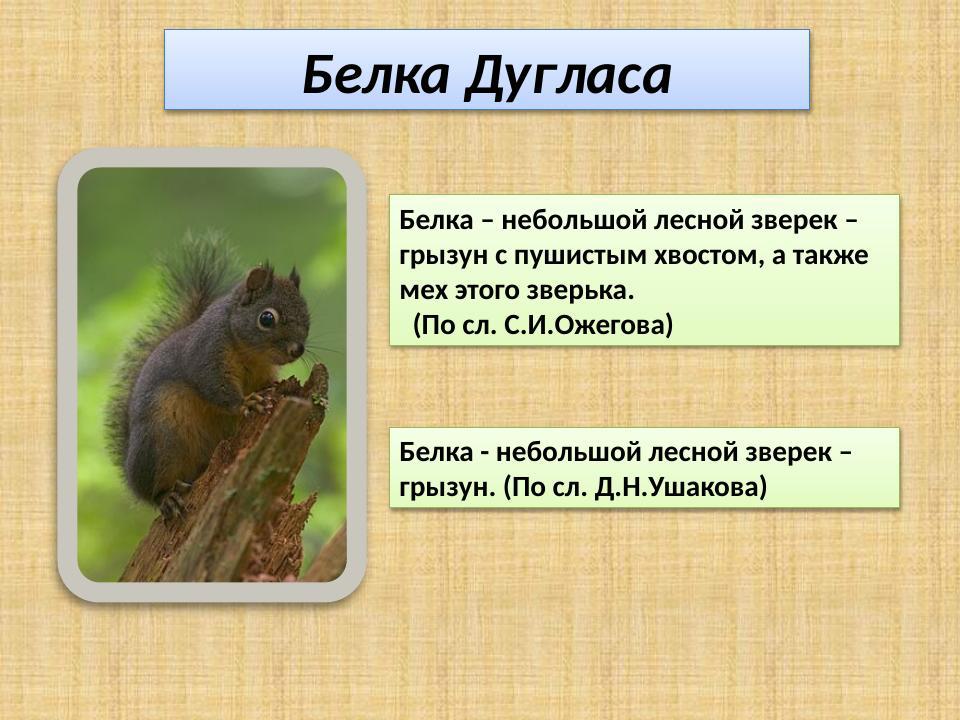 Slide 12